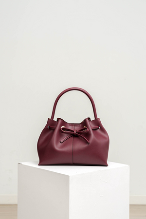 Mini Naomi Bag in Red Wine