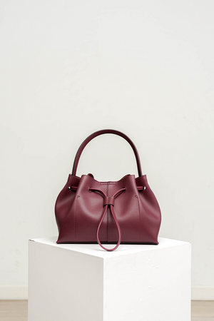 Mini Naomi Bag in Red Wine